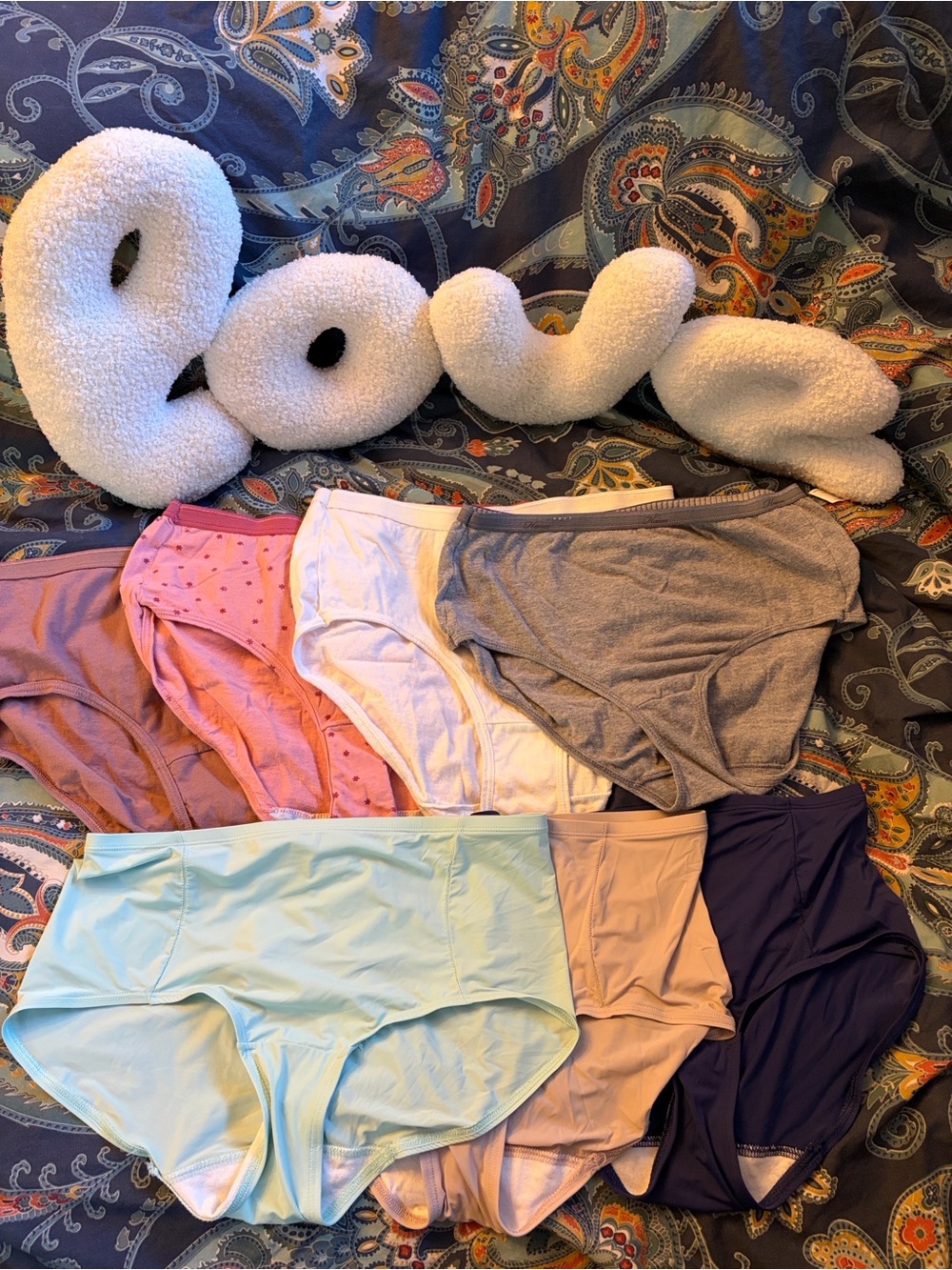 7 PAIR LOT - L7 Women’s High Waist Briefs (washed/NEVER worn)- Hanes & FOTL